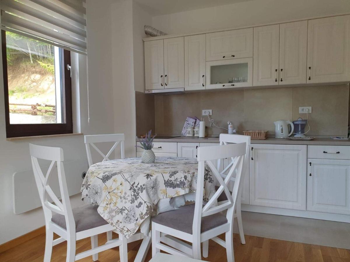 Vila Irina - Apartman Milos Kopaonik Exterior foto